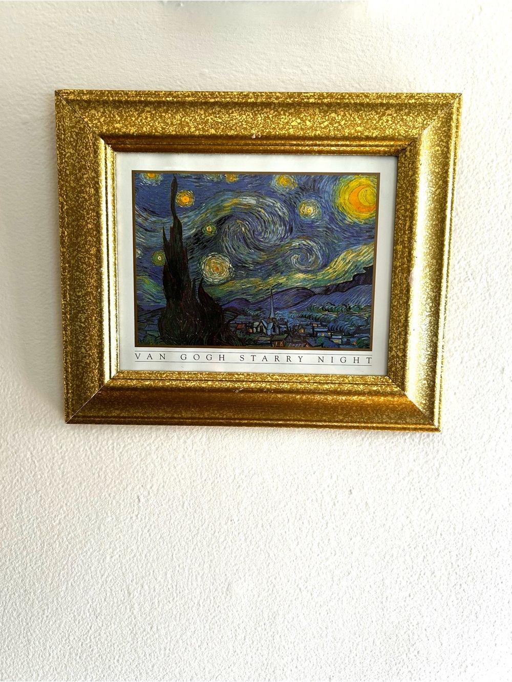 Vincent Van Gogh Starry Night Print Textured Ornate Gold Framed Wall Art Decor